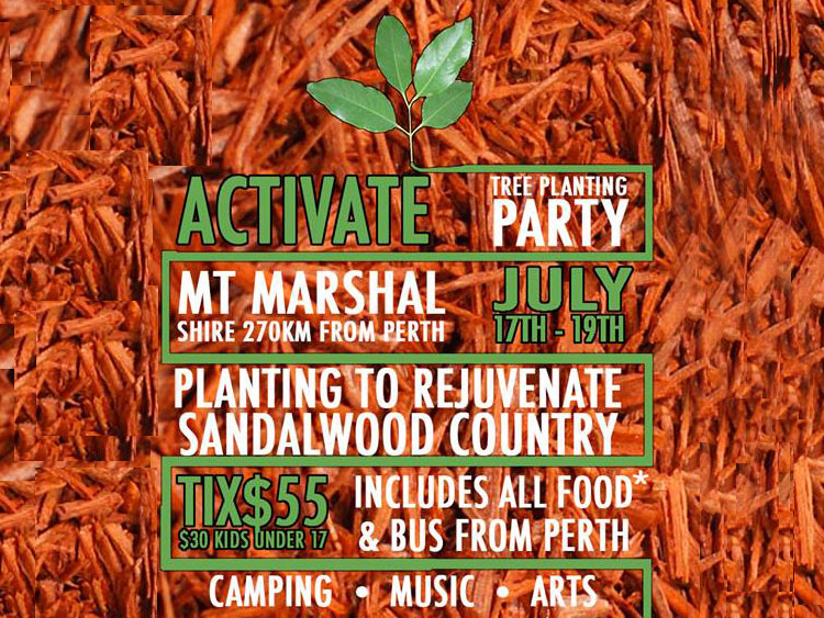 Activate Tree Planting Mount Marshal 2015