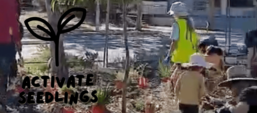 Seedlings children's tree planting day