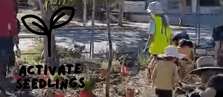 Seedlings children's tree planting day